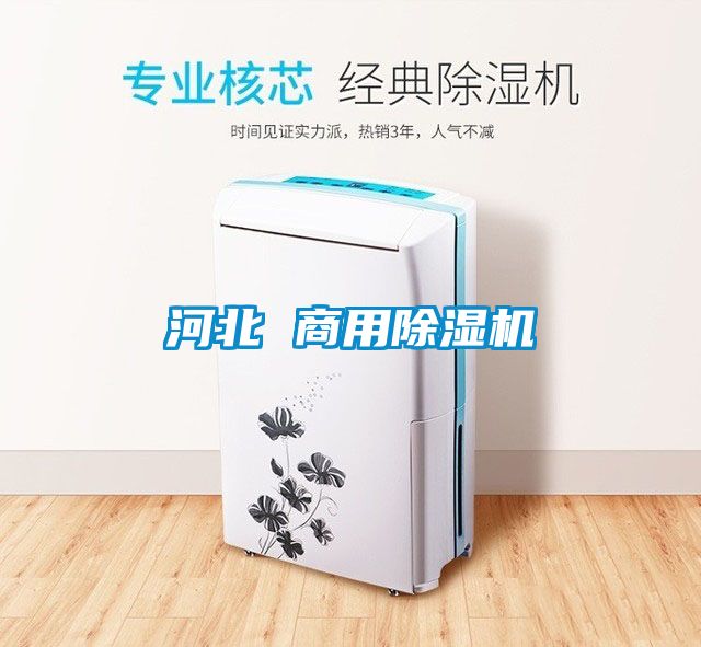 河北 商用香蕉福利视频机