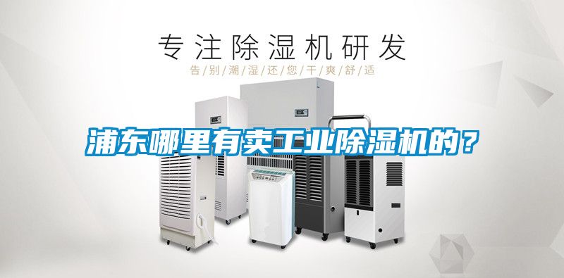 浦东哪里有卖工业香蕉福利视频机的？