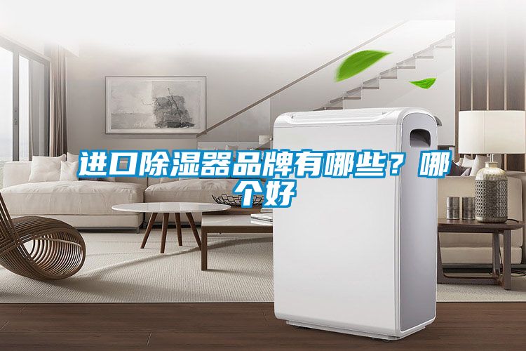 进口香蕉福利视频器品牌有哪些？哪个好