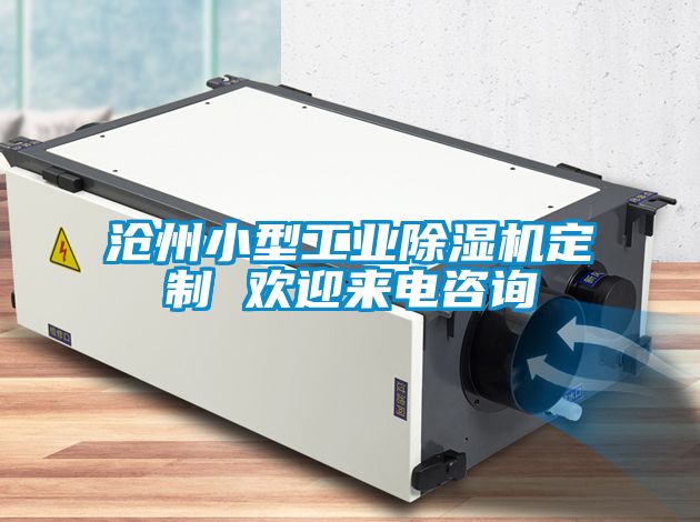 沧州小型工业香蕉福利视频机定制 欢迎来电咨询