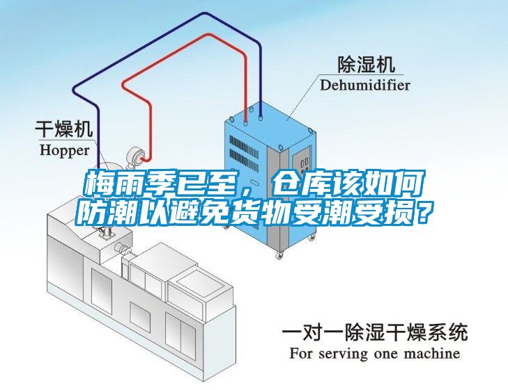 梅雨季已至，仓库该如何防潮以避免货物受潮受损？