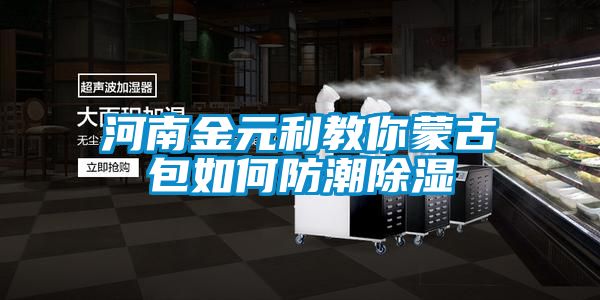 河南金元利教你蒙古包如何防潮香蕉福利视频