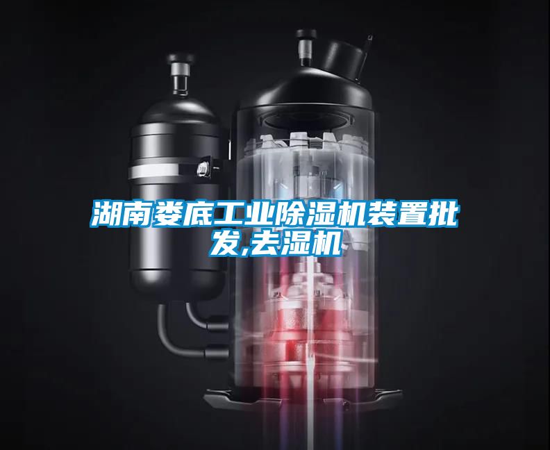 湖南娄底工业香蕉福利视频机装置批发,去湿机