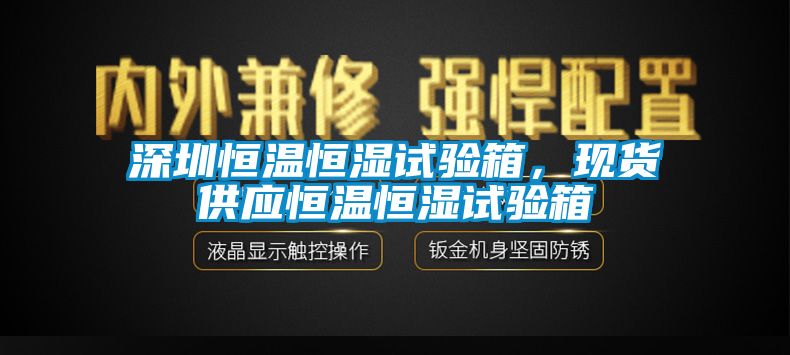 深圳恒温恒湿试验箱，现货供应恒温恒湿试验箱