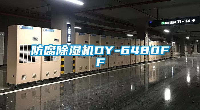 防腐香蕉福利视频机DY-6480FF