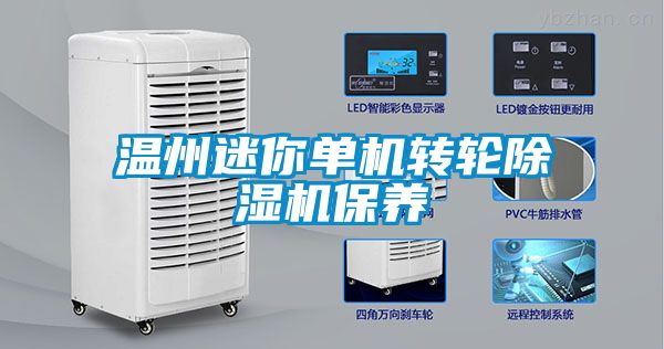 温州迷你单机转轮香蕉福利视频机保养