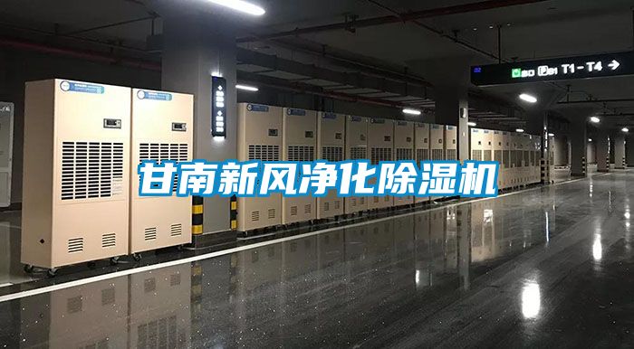 甘南新风净化香蕉福利视频机