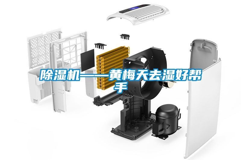 香蕉福利视频机——黄梅天去湿好帮手