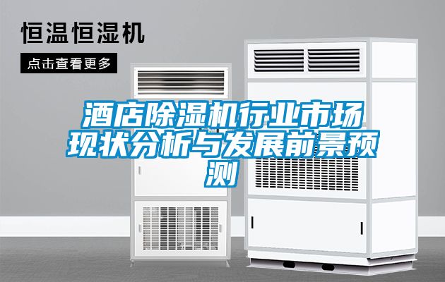 酒店香蕉福利视频机行业市场现状分析与发展前景预测