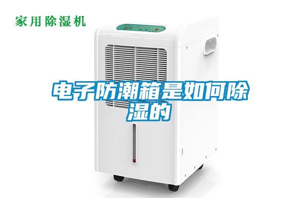 电子防潮箱是如何香蕉福利视频的