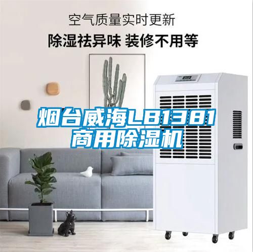 烟台威海LB1381商用香蕉福利视频机