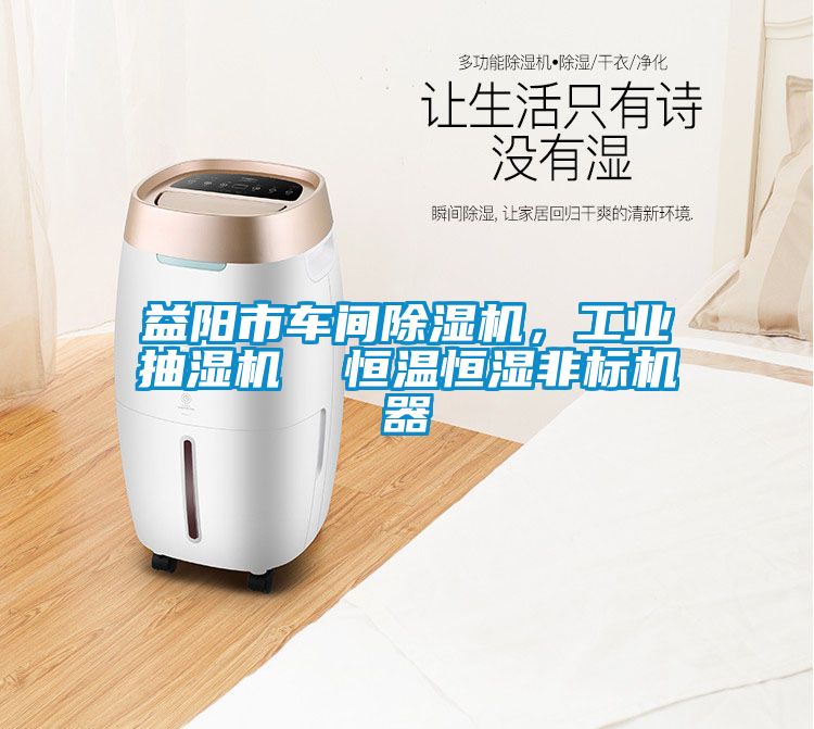 益阳市车间香蕉福利视频机，工业抽湿机  恒温恒湿非标机器
