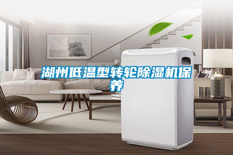 湖州低温型转轮香蕉福利视频机保养