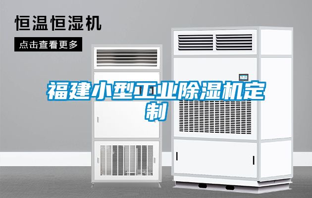 福建小型工业香蕉福利视频机定制
