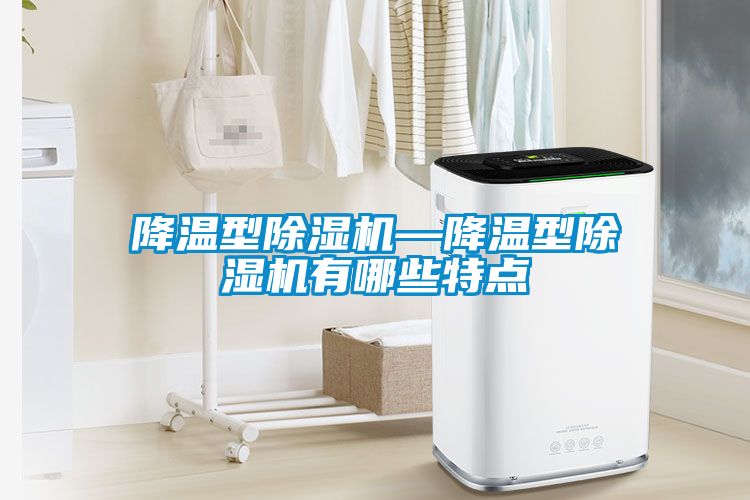 降温型香蕉福利视频机—降温型香蕉福利视频机有哪些特点