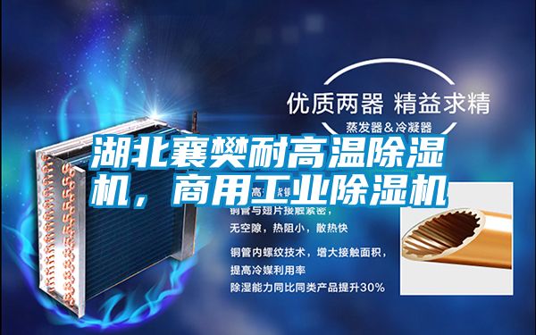 湖北襄樊耐高温香蕉福利视频机，商用工业香蕉福利视频机