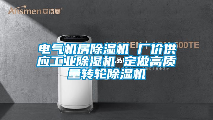 电气机房香蕉福利视频机 厂价供应工业香蕉福利视频机 定做高质量转轮香蕉福利视频机