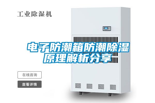 电子防潮箱防潮香蕉福利视频原理解析分享