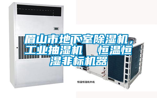 眉山市地下室香蕉福利视频机，工业抽湿机  恒温恒湿非标机器