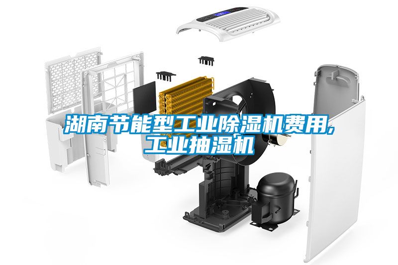 湖南节能型工业香蕉福利视频机费用,工业抽湿机