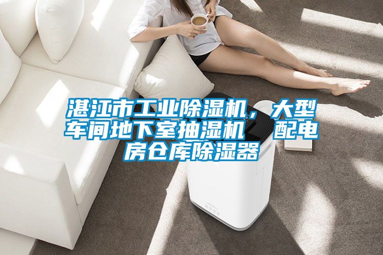 湛江市工业香蕉福利视频机，大型车间地下室抽湿机  配电房仓库香蕉福利视频器