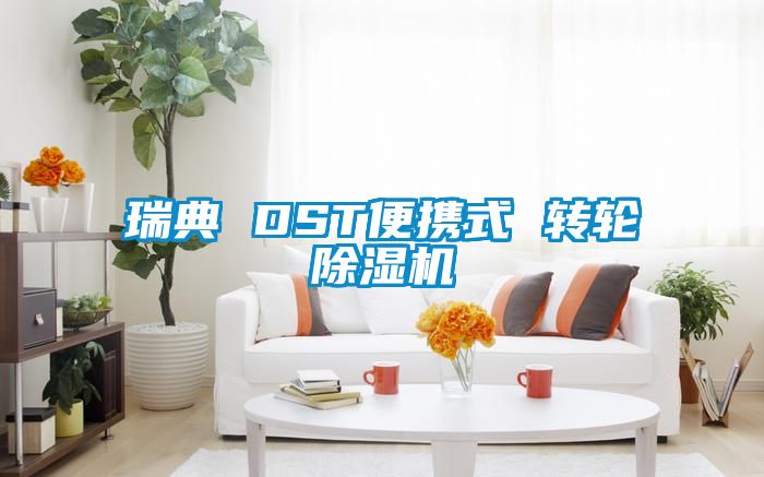 瑞典 DST便携式 转轮香蕉福利视频机
