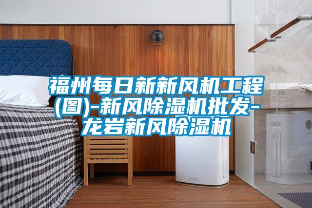 福州每日新新风机工程(图)-新风香蕉福利视频机批发-龙岩新风香蕉福利视频机