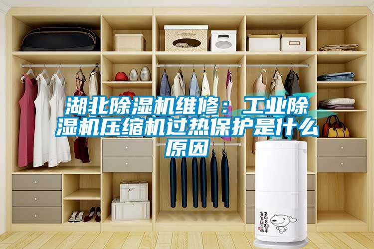 湖北香蕉福利视频机维修：工业香蕉福利视频机压缩机过热保护是什么原因