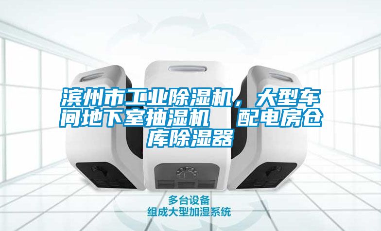 滨州市工业香蕉福利视频机，大型车间地下室抽湿机  配电房仓库香蕉福利视频器