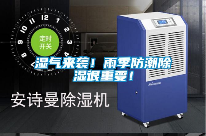湿气来袭！雨季防潮香蕉福利视频很重要！