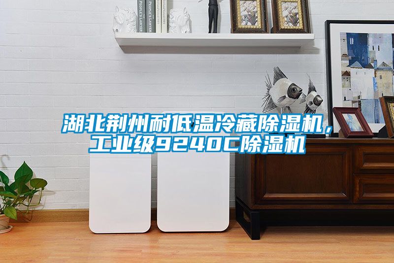 湖北荆州耐低温冷藏香蕉福利视频机，工业级9240C香蕉福利视频机