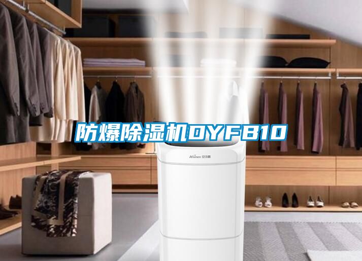 防爆香蕉福利视频机DYFB10