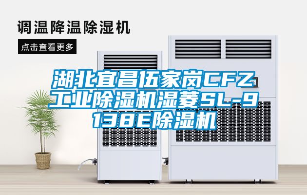 湖北宜昌伍家岗CFZ工业香蕉福利视频机湿菱SL-9138E香蕉福利视频机