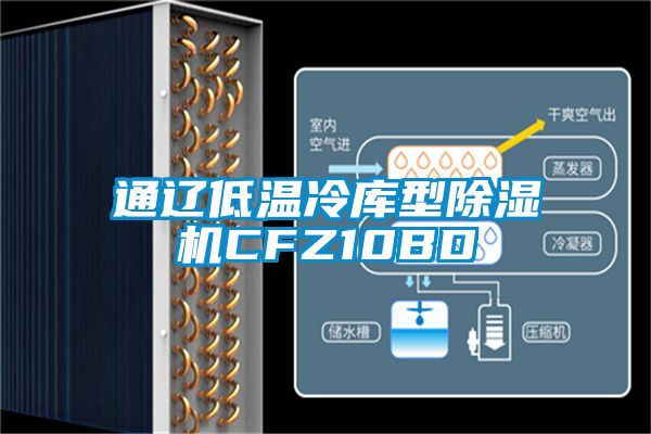 通辽低温冷库型香蕉福利视频机CFZ10BD