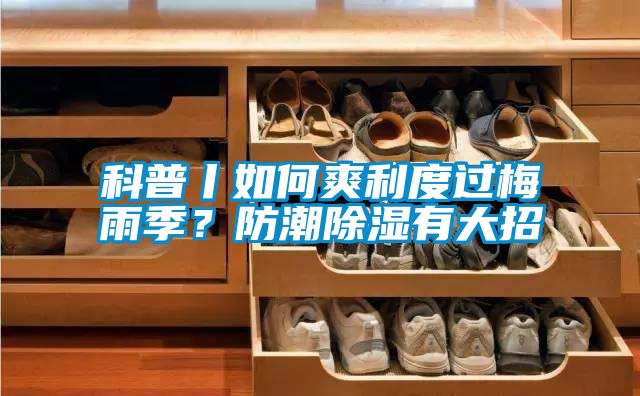 科普丨如何爽利度过梅雨季？防潮香蕉福利视频有大招