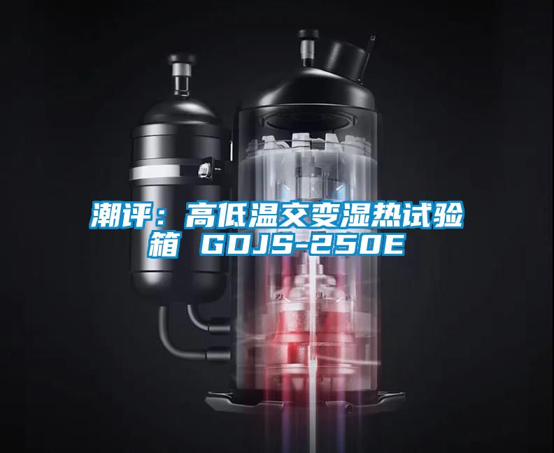 潮评：高低温交变湿热试验箱 GDJS-250E