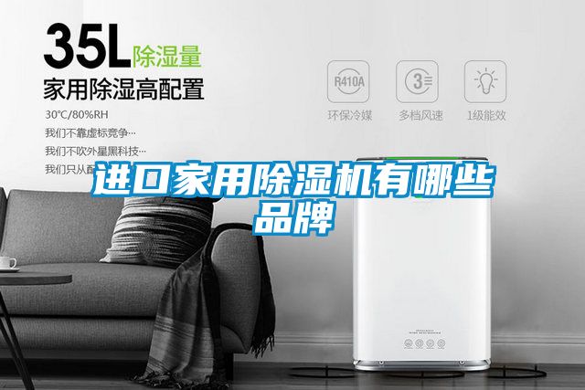 进口家用香蕉福利视频机有哪些品牌