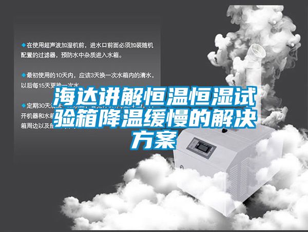 海达讲解恒温恒湿试验箱降温缓慢的解决香蕉黄色APP网址