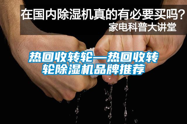 热回收转轮—热回收转轮香蕉福利视频机品牌推荐