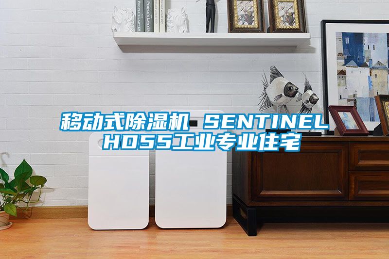 移动式香蕉福利视频机 SENTINEL HD55工业专业住宅