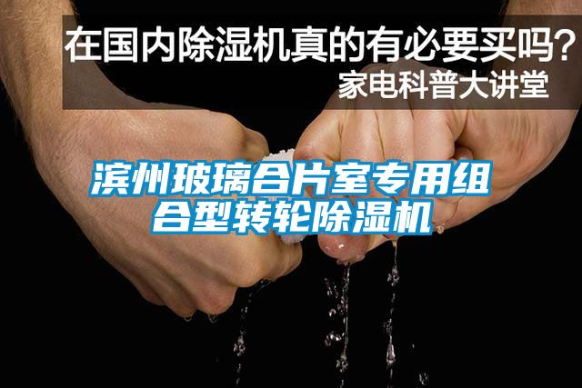 滨州玻璃合片室专用组合型转轮香蕉福利视频机