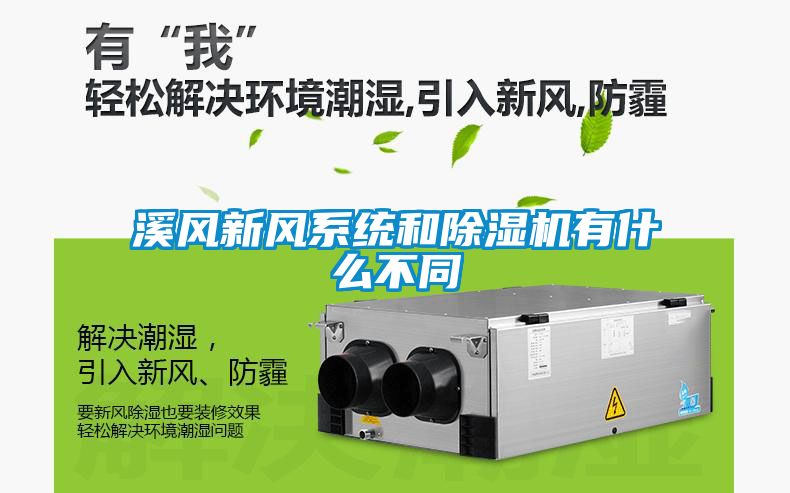 溪风新风系统和香蕉福利视频机有什么不同