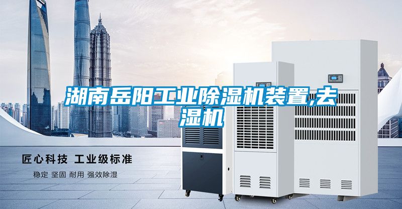 湖南岳阳工业香蕉福利视频机装置,去湿机