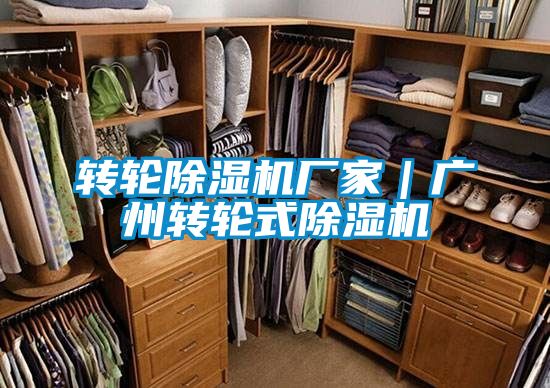 转轮香蕉福利视频机厂家｜广州转轮式香蕉福利视频机