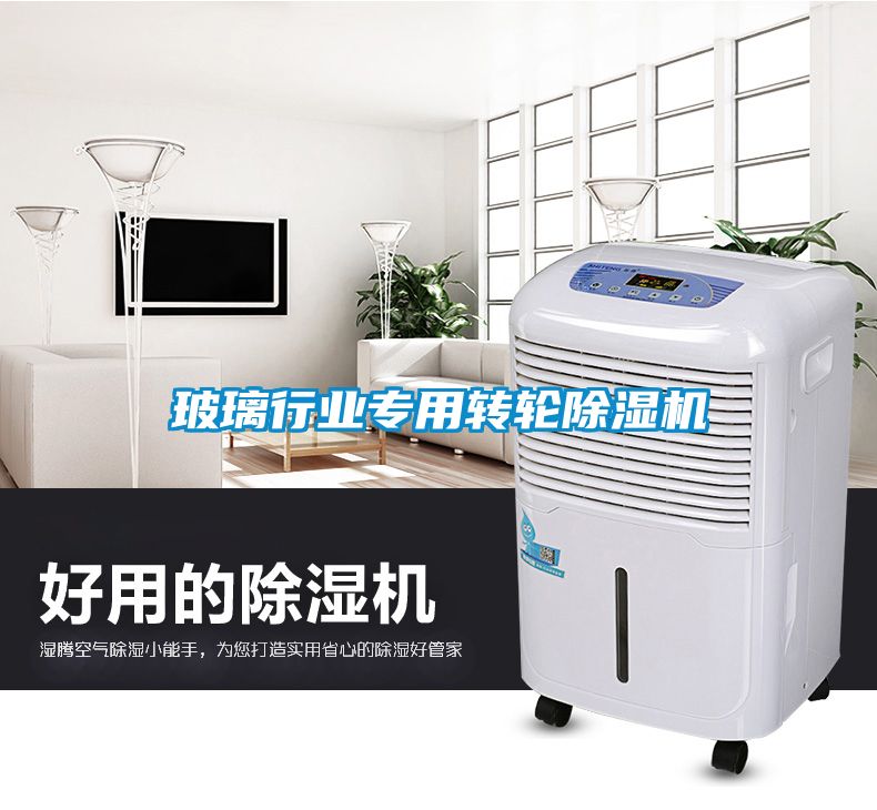 玻璃行业专用转轮香蕉福利视频机