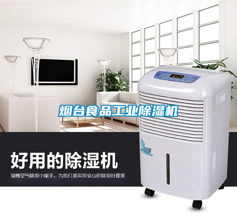 烟台食品工业香蕉福利视频机