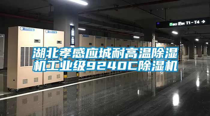 湖北孝感应城耐高温香蕉福利视频机工业级9240C香蕉福利视频机