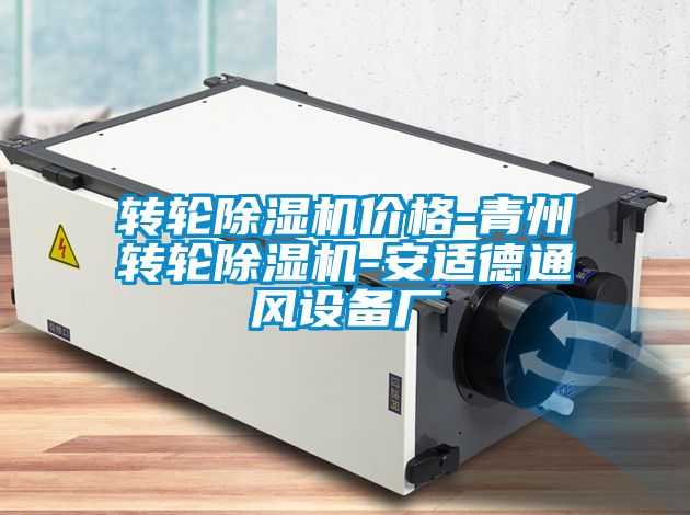 转轮香蕉福利视频机价格-青州转轮香蕉福利视频机-安适德通风设备厂
