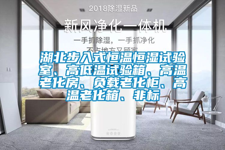 湖北步入式恒温恒湿试验室、高低温试验箱、高温老化房、负载老化柜、高温老化箱、非标