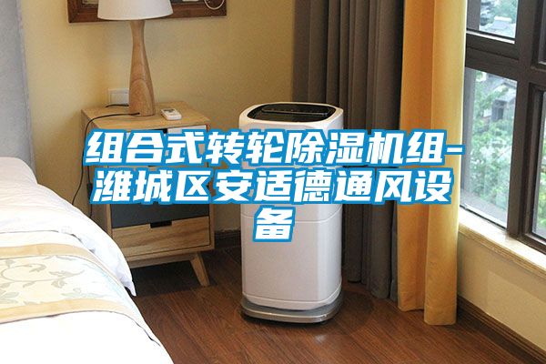 组合式转轮香蕉福利视频机组-潍城区安适德通风设备